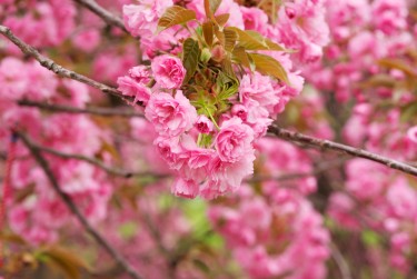 宁波宁海线下个人借款平台一站式服务，轻松解决资金难题