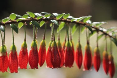 宁波宁海零用贷短借：轻松解决临时资金需求