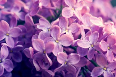 宁波宁海企业急用钱贷款攻略：快速融资解燃眉之急